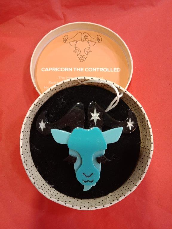 Capricorn The Controlled Brooch