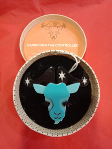 Capricorn The Controlled Brooch